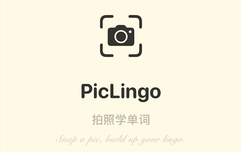 PicLingo - Snap & Learn Vocabulary iOS App