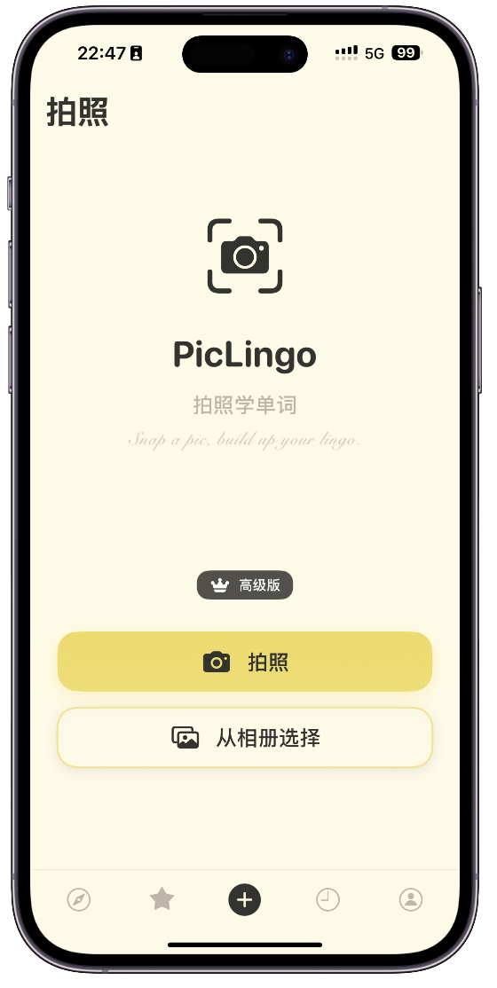 PicLingo Home Page